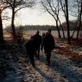 0301winterkmp21