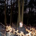 0301winterkmp25