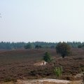 0308kampheerde126