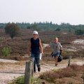 0308kampheerde127