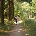 0308kampheerde132
