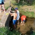 0308kampheerde145