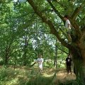 0308kampheerde172