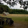 0308kampheerde191