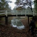 0310herfstwand5