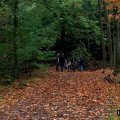 0310herfstwand8