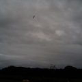 0310waterraket20