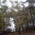 0310waterraket6