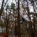 0311scoutactiv1