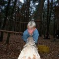 0311scoutactiv5