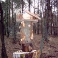 0401winterkamp47