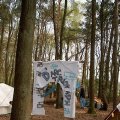 0404stjorisdsw117