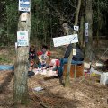0404stjorisdsw18