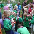 04054daagse52