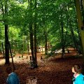 0406aflregio20