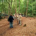 0406aflregio28