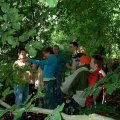 0406aflregio31