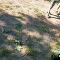 0408kampborculo1188