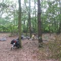 0408kampborculo143
