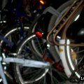 0408kampborculo16