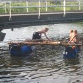 0408kampborculo2136