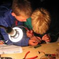 0408kampborculo267