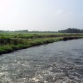 0408kampborculo3125