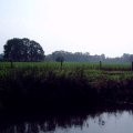 0408kampborculo3132