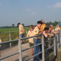 0408kampborculo359