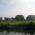 0408kampborculo366