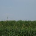 0408kampborculo370