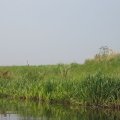 0408kampborculo372