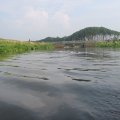 0408kampborculo373