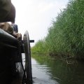 0408kampborculo379