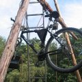 0408kampborculo4104