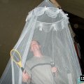 0408kampborculo4133