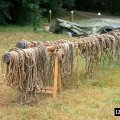 0408kampborculo4222