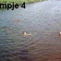 0408zkampavi-_4