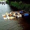 0408zkampavi-_6