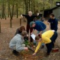 0410herfstwand12