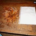 0410herfstwand25