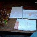 0410herfstwand26
