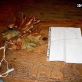 0410herfstwand28