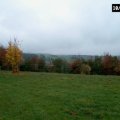 0410bilsdorf28