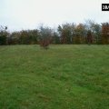 0410bilsdorf32