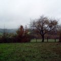 0410bilsdorf68