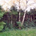 0410bilsdorf72