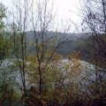 0410bilsdorf77