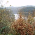 0410bilsdorf78
