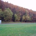 0410bilsdorf83